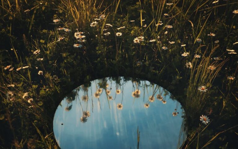 Mirrors and Vastu: What’s Allowed & What’s Forbidden